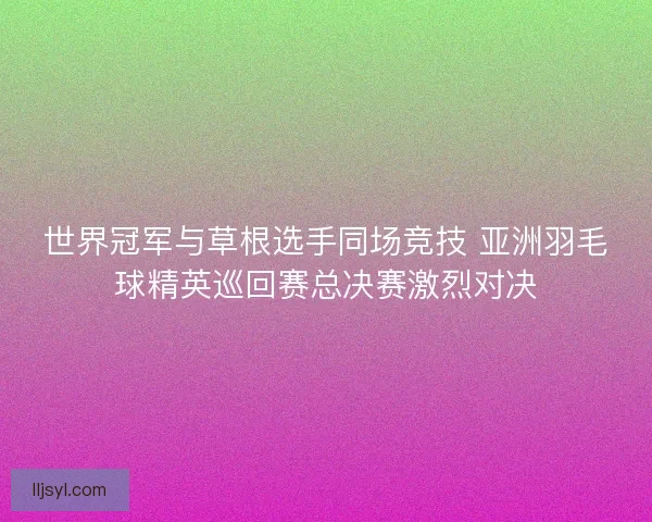 世界冠军与草根选手同场竞技 亚洲羽毛球精英巡回赛总决赛激烈对决
