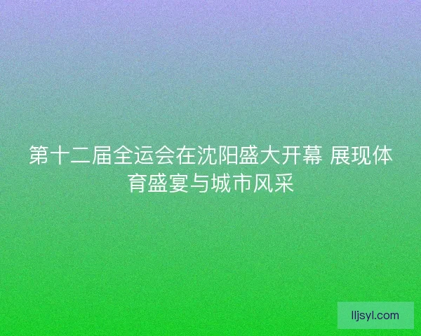 第十二届全运会在沈阳盛大开幕 展现体育盛宴与城市风采