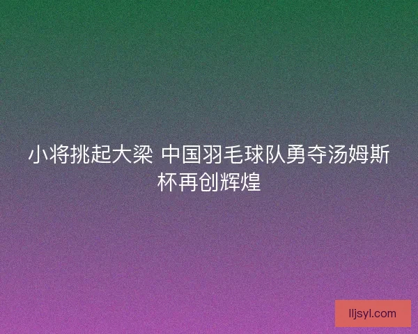 小将挑起大梁 中国羽毛球队勇夺汤姆斯杯再创辉煌